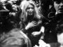 Bardot