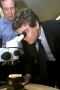 Montebourg
